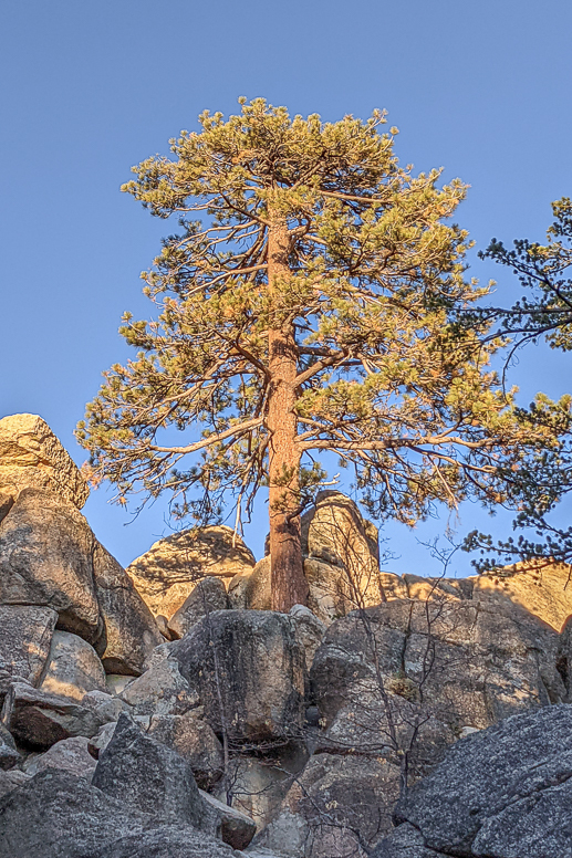 Castle Rock Trail